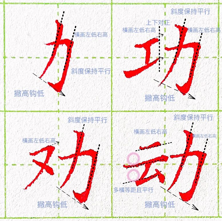 偏旁部首练习:力字旁