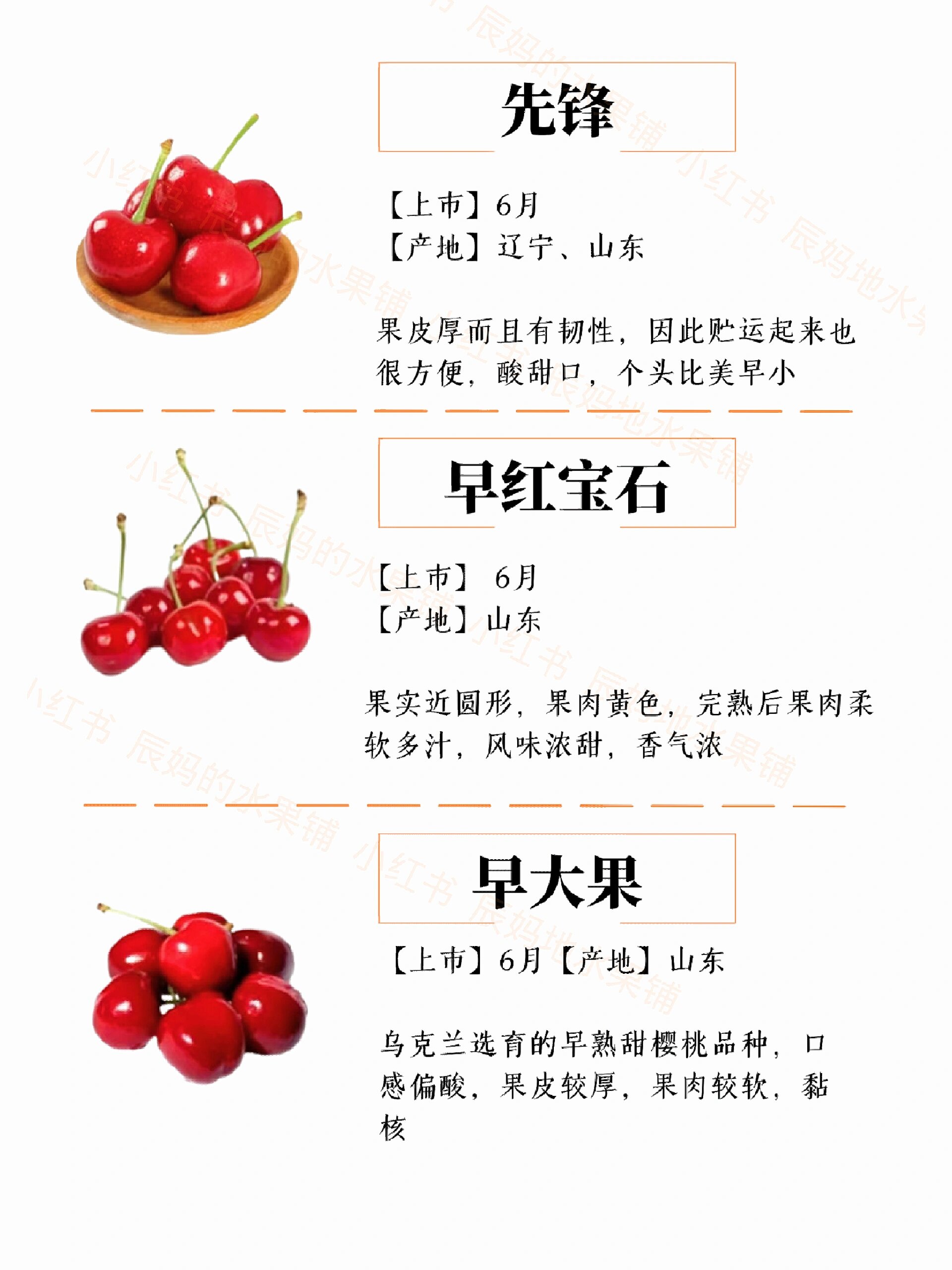 你会买樱桃吗9716种常见樱桃品种及特点