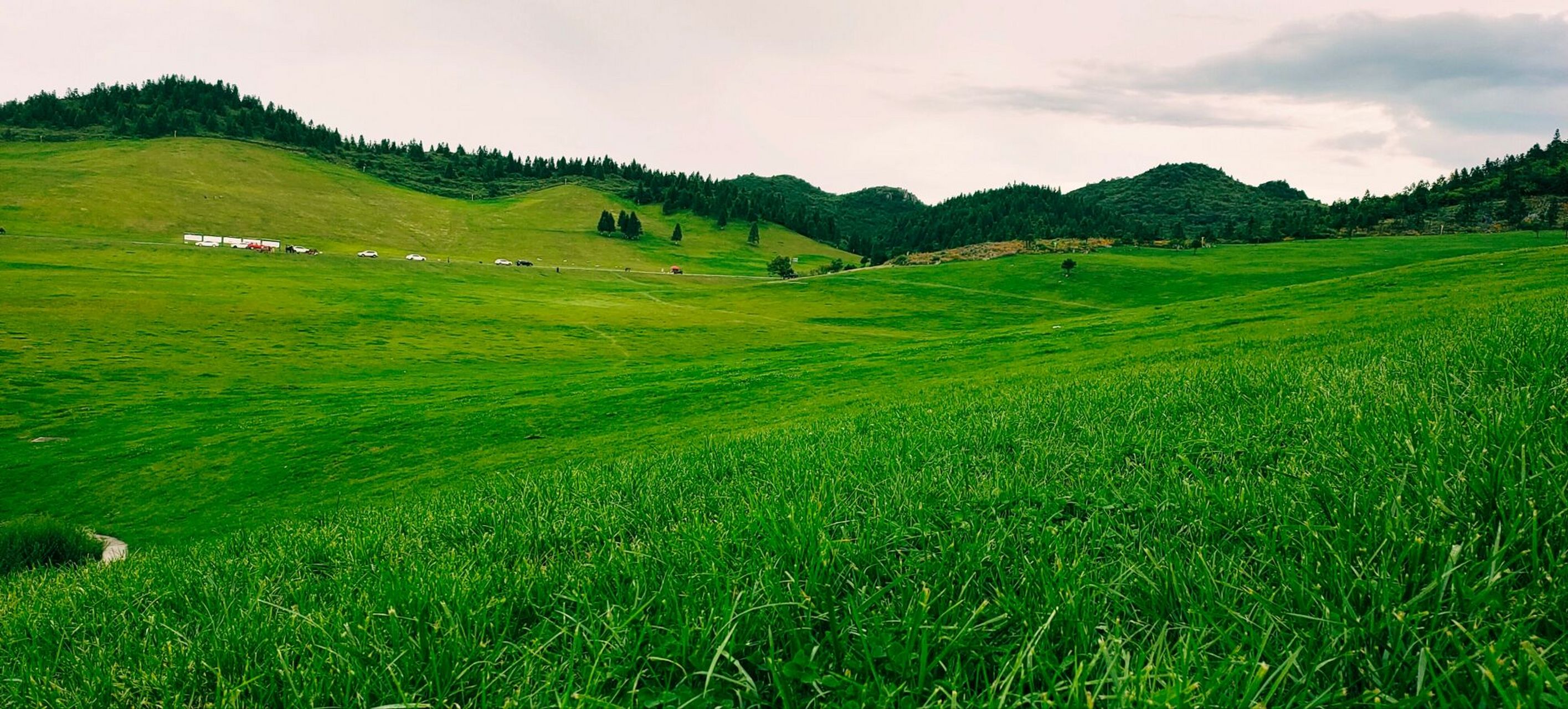 前面是在菖蒲大草原景区北门进口的地方拍摄的!