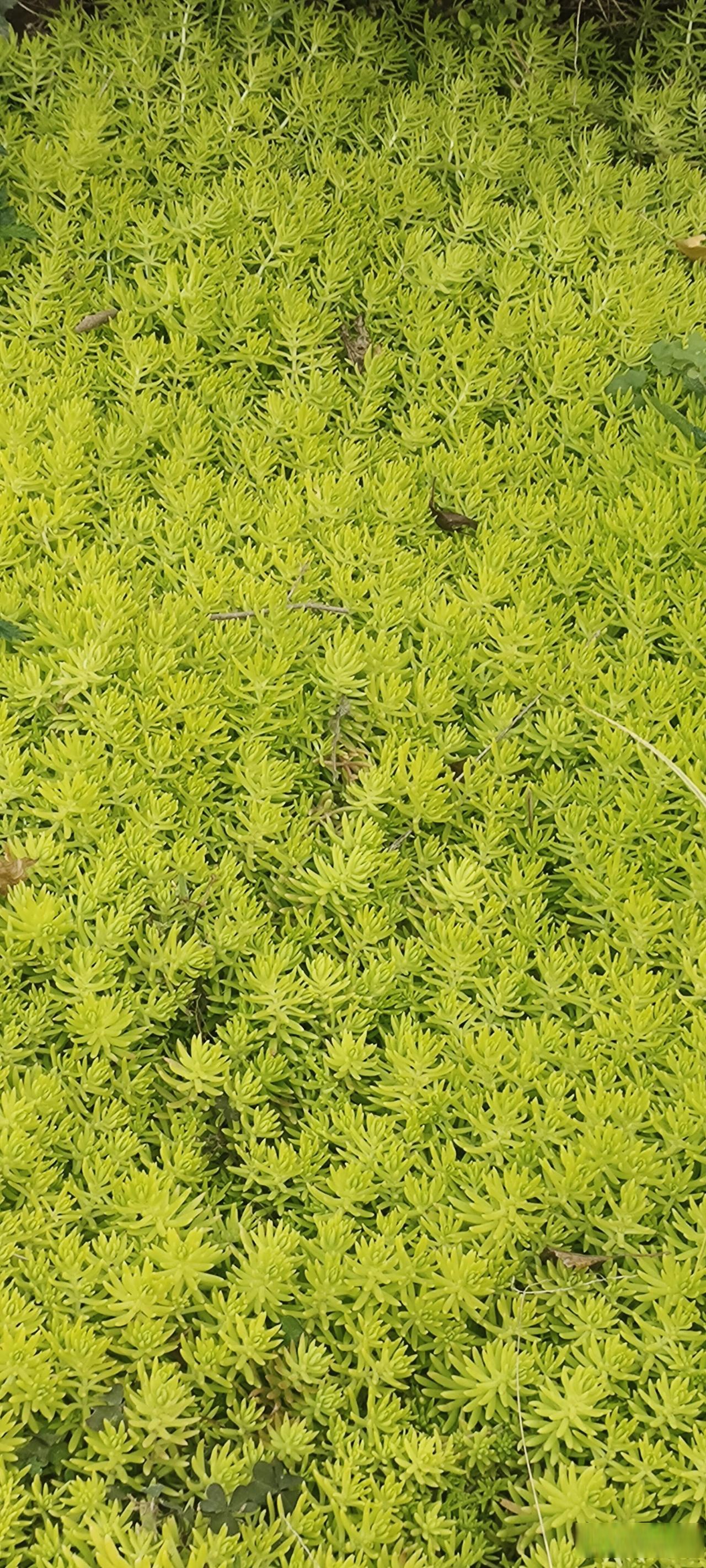 她说:退休了也得上班,干不死就往死里干!