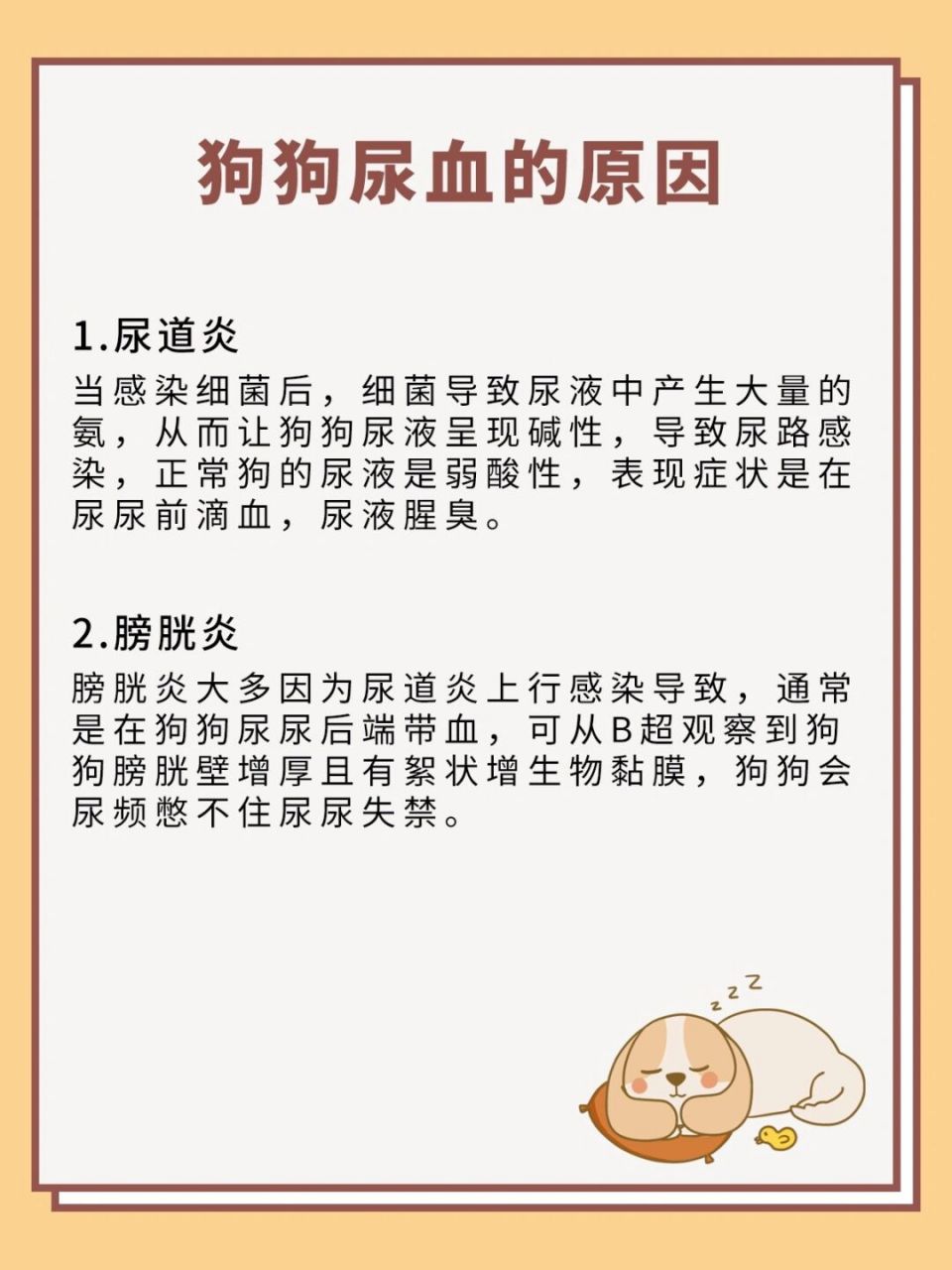 养狗不能不知道,血尿不能忽视,危及狗命 99狗狗尿血的原因 92尿道