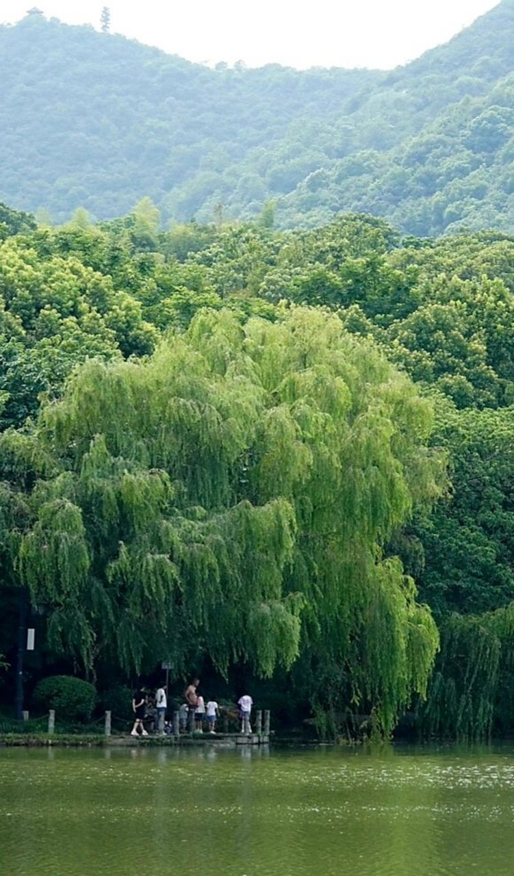 杭州虎山公园,不是虎跑山,大多数人不知道 虎山公园是由半山虎山水库