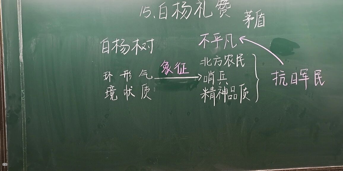 白杨板书图片