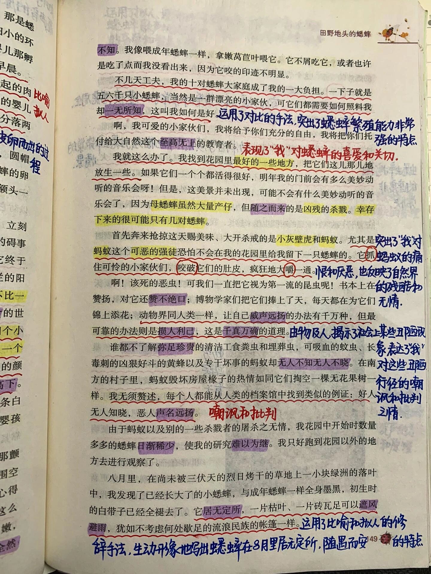 昆虫记 十六篇 田野地头的蟋蟀