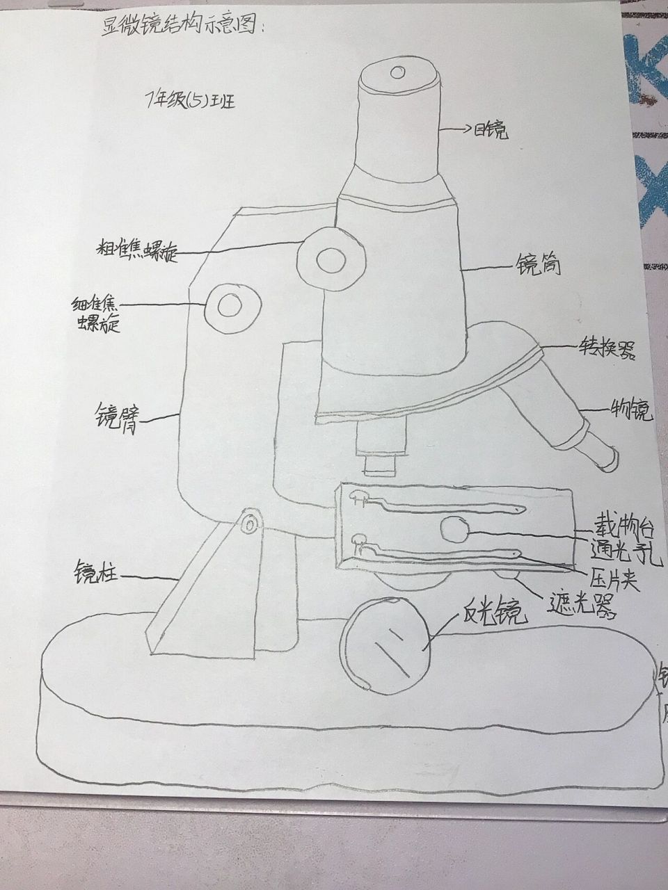 这是生物显微镜简笔画画得不咋样,能看就行 (不喜勿喷)这个是生物