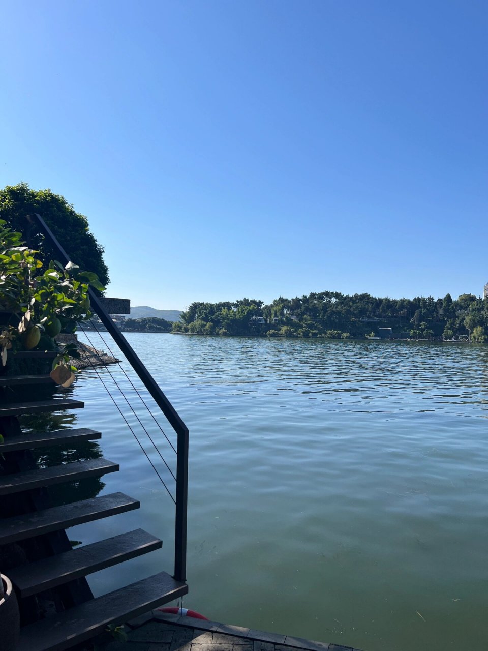 大理双廊古镇|杨丽萍太阳宫 双廊古镇有很多临海下午茶,但这儿依树