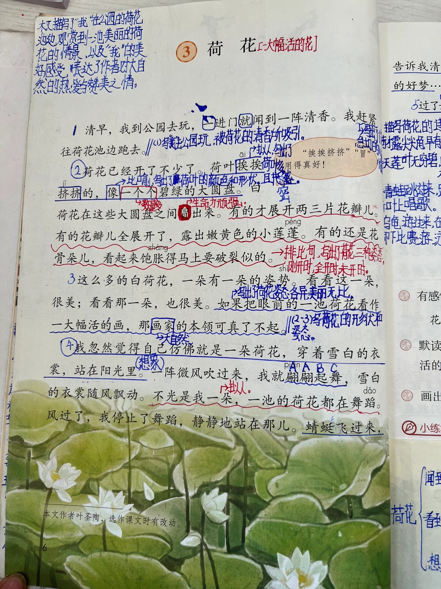 三下语文《荷花》学生笔记