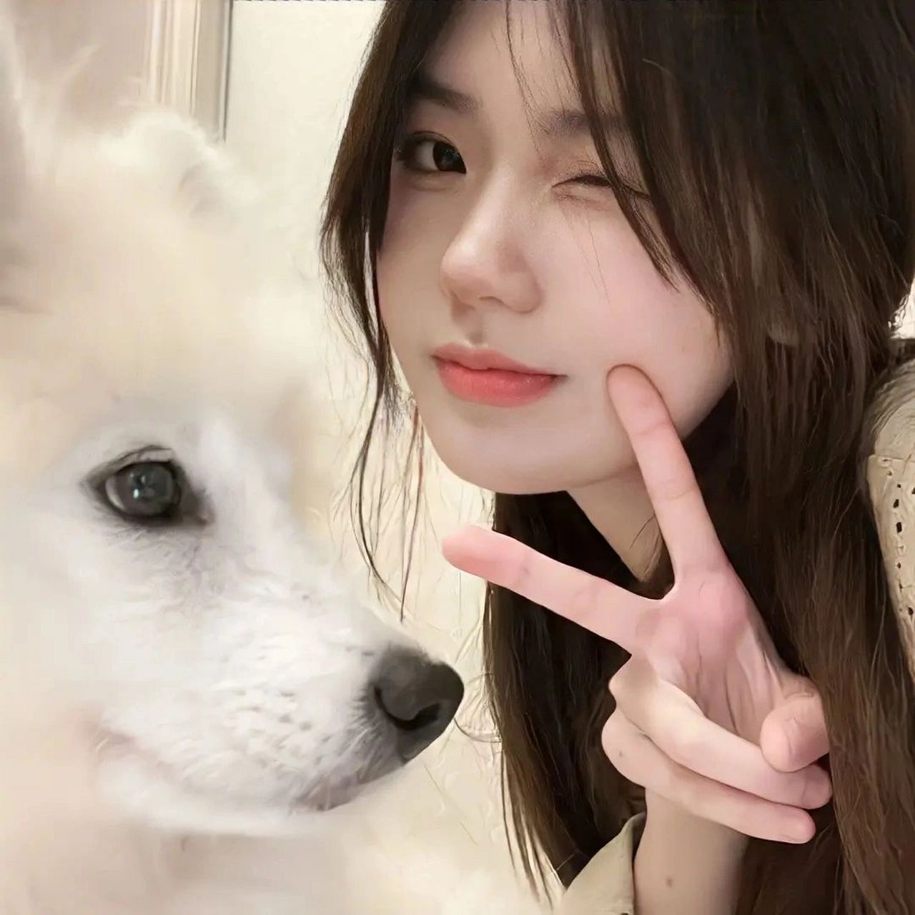 qq/微信头像/漂亮美女头像!超级好看! 谁能不爱美女!