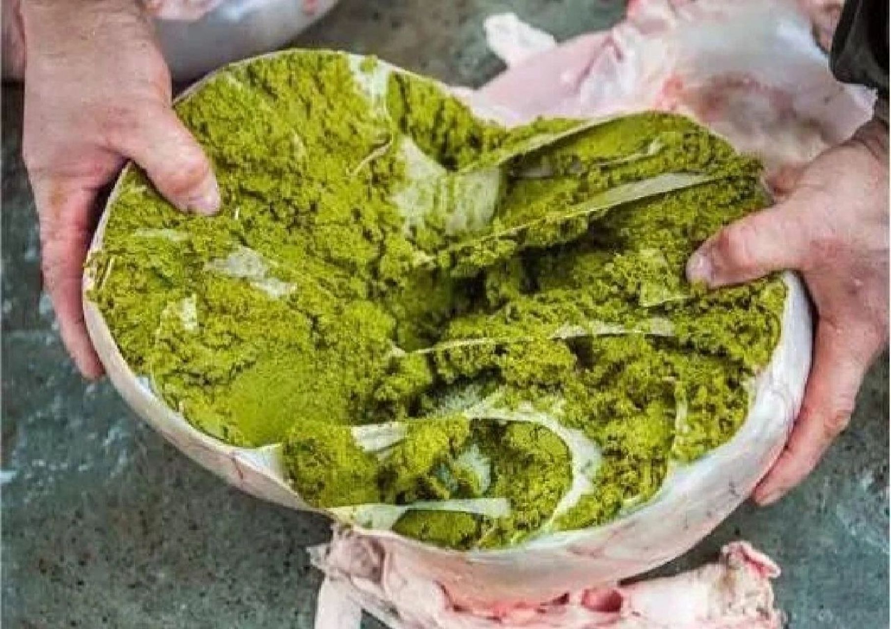 黔东南美食推荐之"牛瘪" 牛瘪"号称"百草汤",是黔东南少数民族视为待