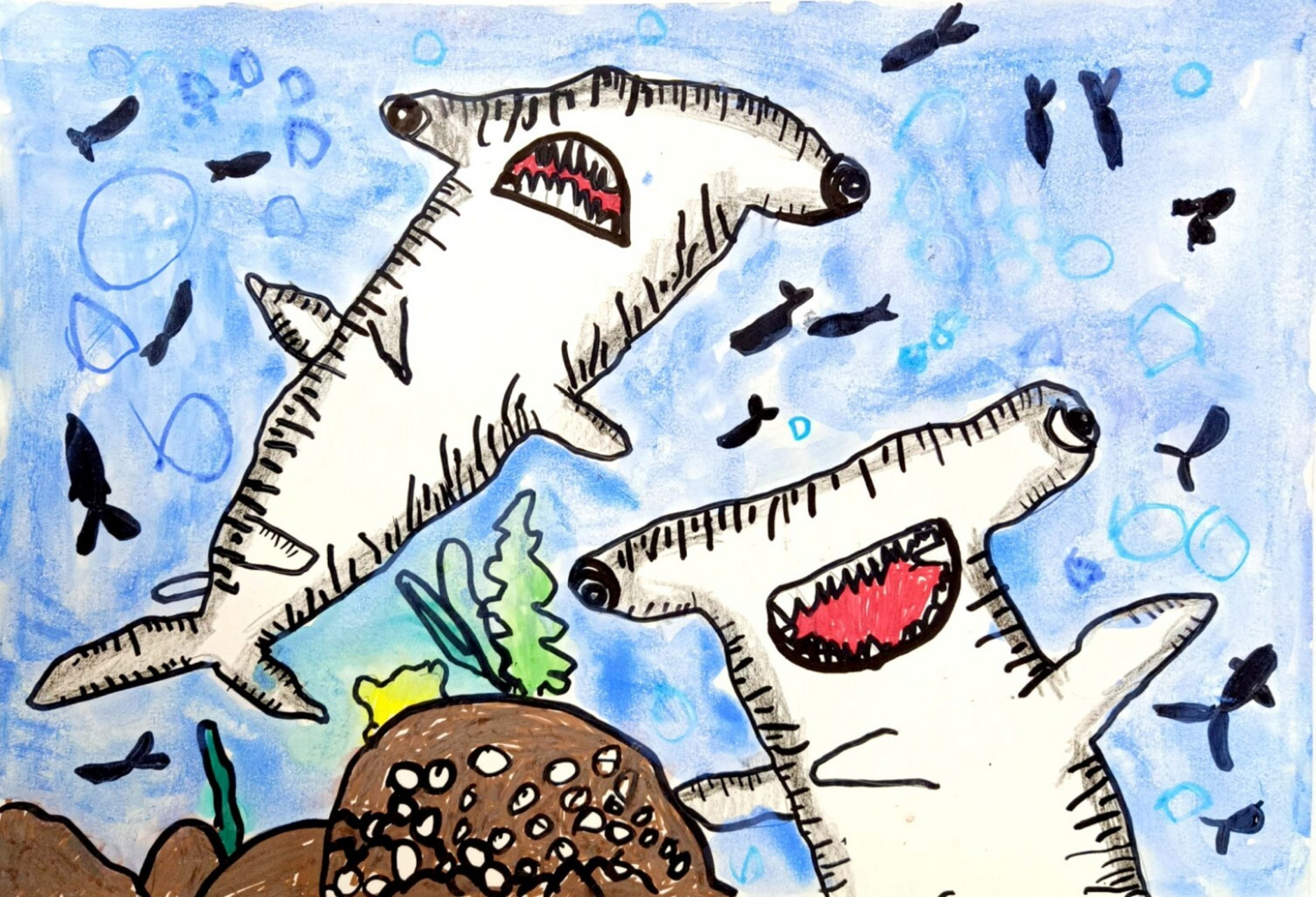 02知道锤头鲨的结构特点,并用绘画表现出来. 2.