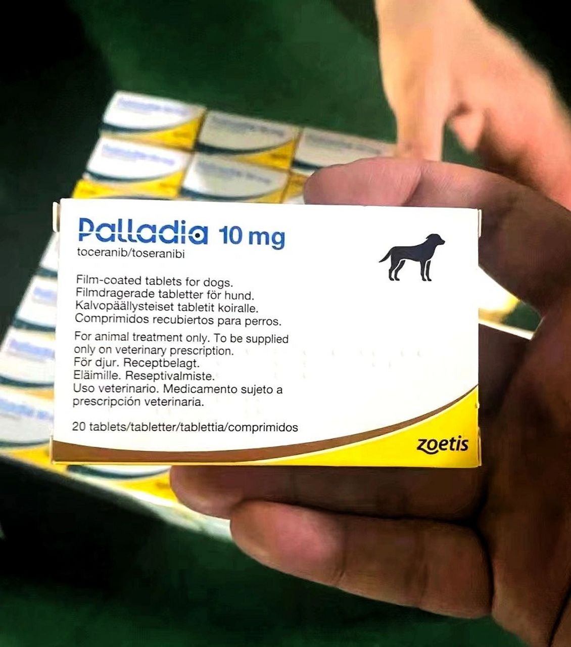 世上第一种犬类癌症肿瘤靶向药帕拉丁 宠物靶向药pal