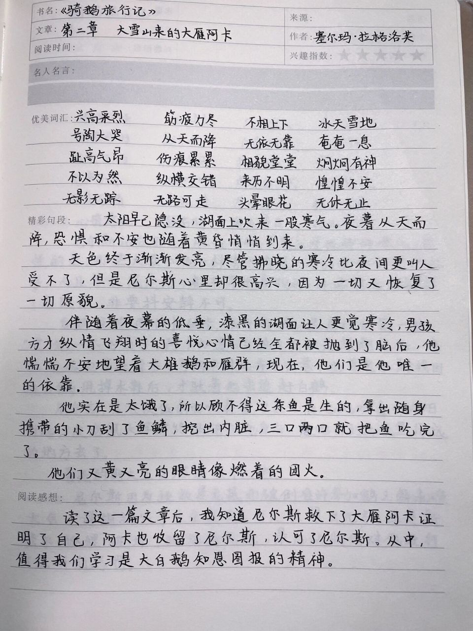 《骑鹅旅行记》读书笔记 第二章 大雪山来的大雁阿卡 字丑勿喷