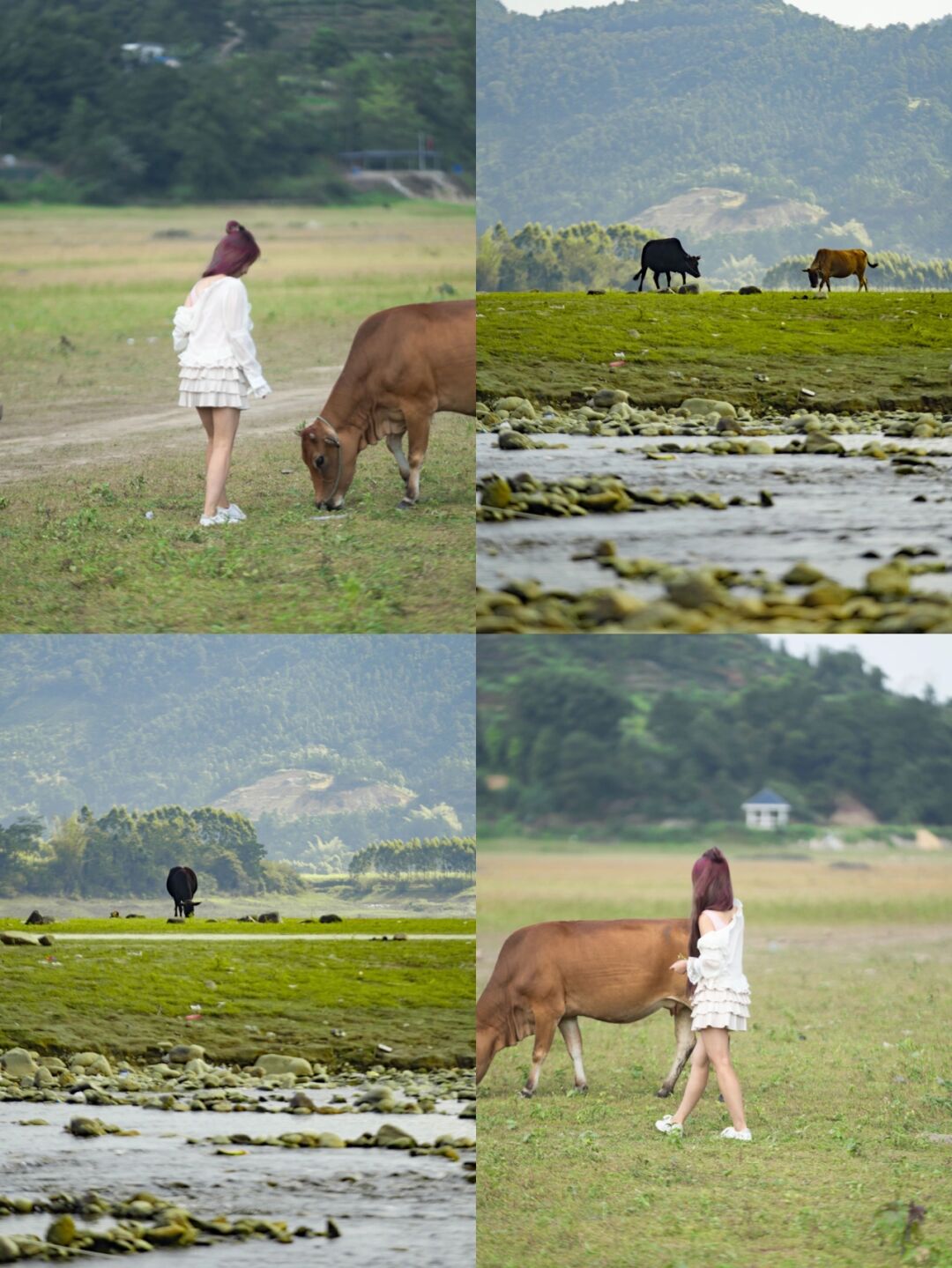 有着世界长寿乡之称的南宁市上林县位于西燕镇东敢村有一个东敢水库