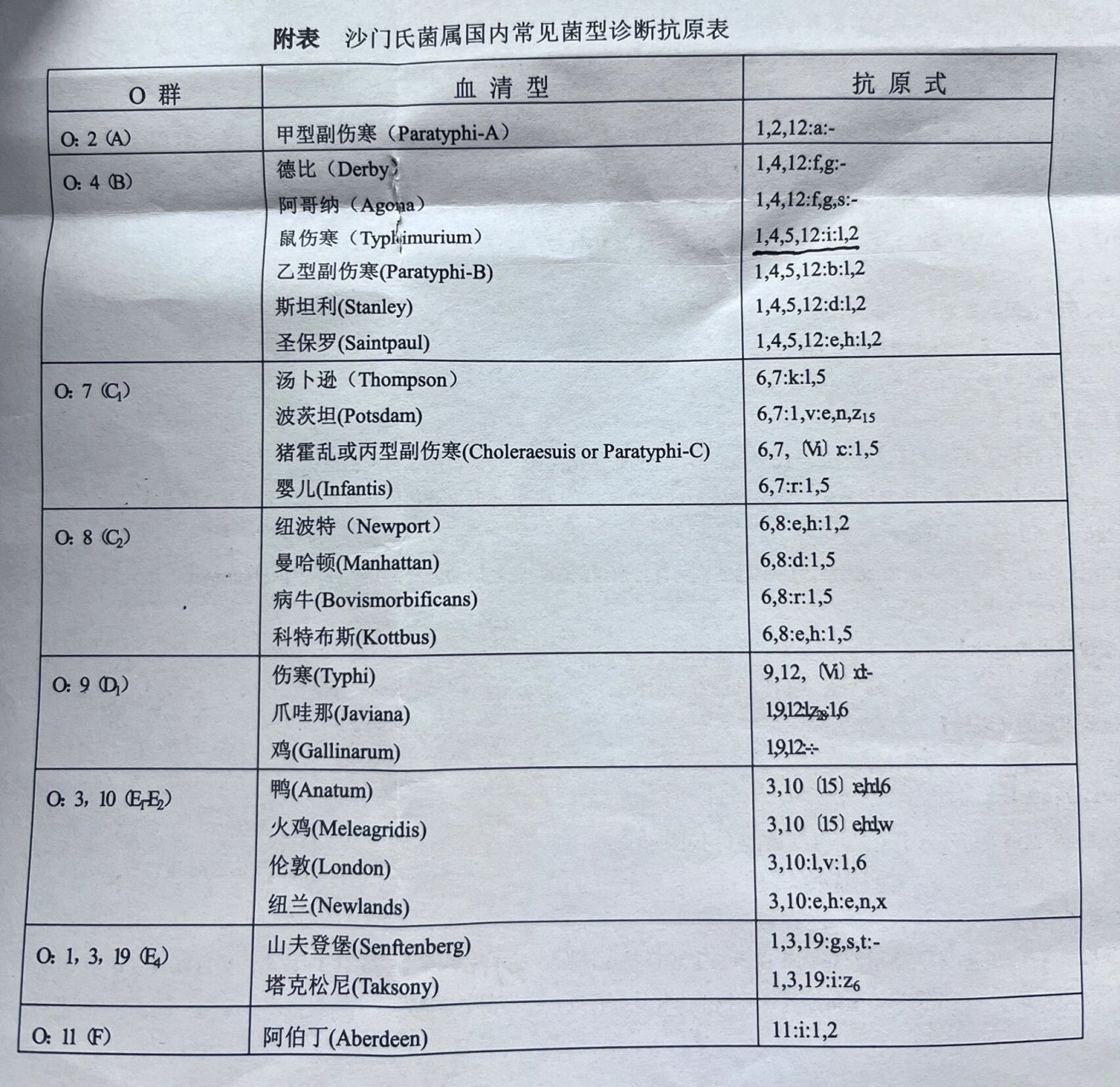 伤寒沙门菌血清型图片