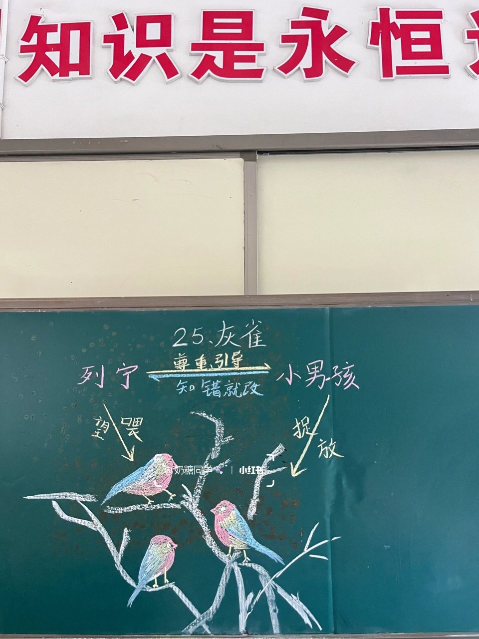 三年级语文25《灰雀》板书设计