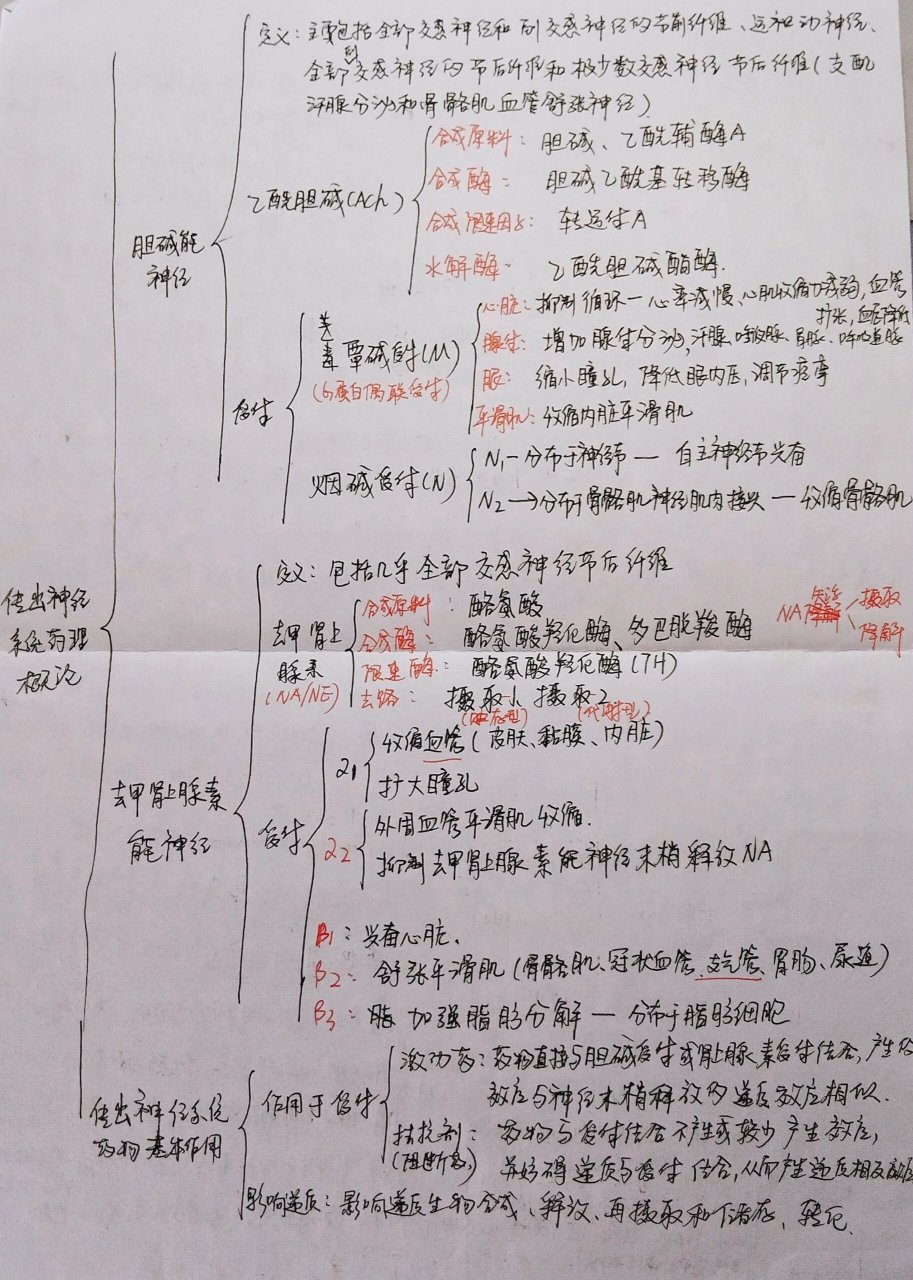 药理学思维导图手绘图片