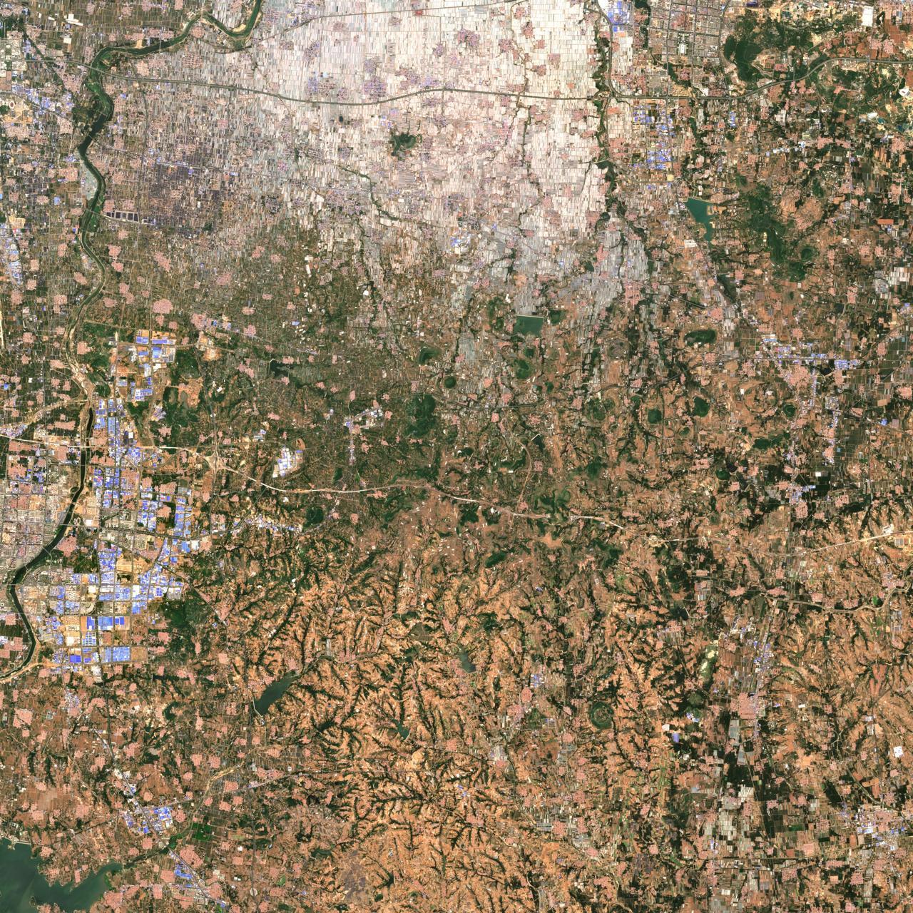 山东省青州市,寿光市,潍坊市最新最新最新 卫星地图  2022年5月31日10