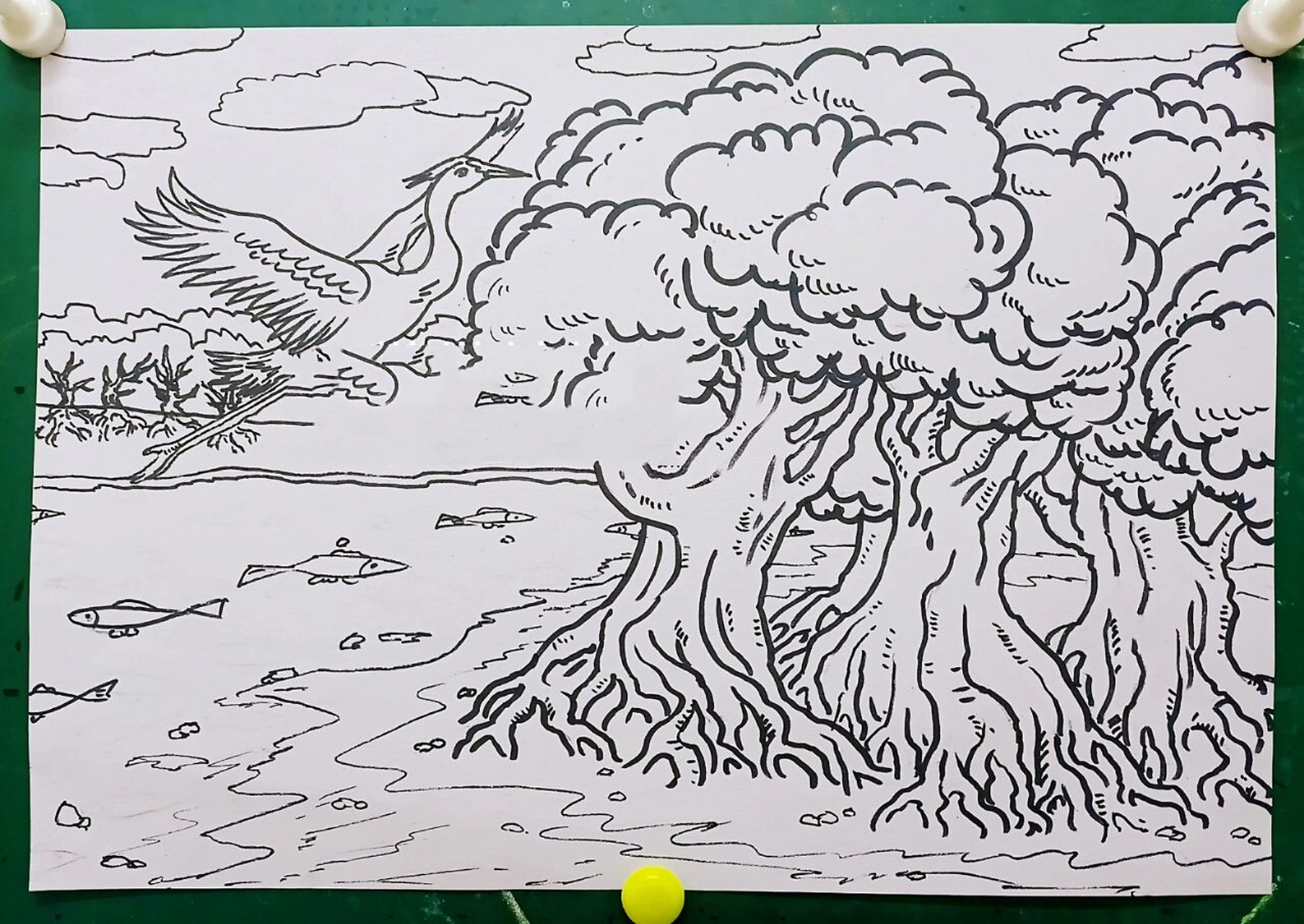 红树林简笔画怎么画图片