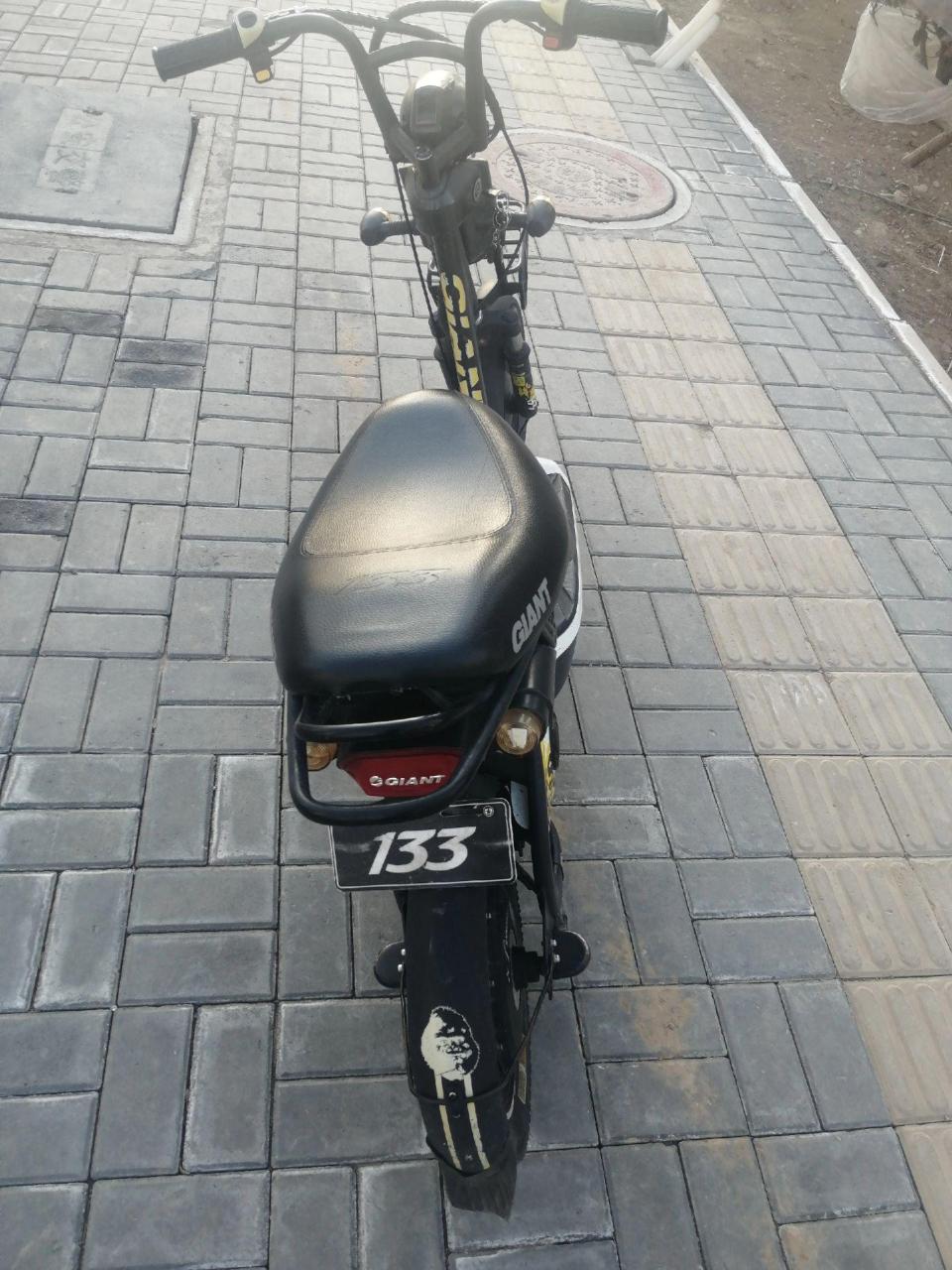 捷安特133骑不坏的电动车,这是正品,捷安特133,懂这款车的朋友联系