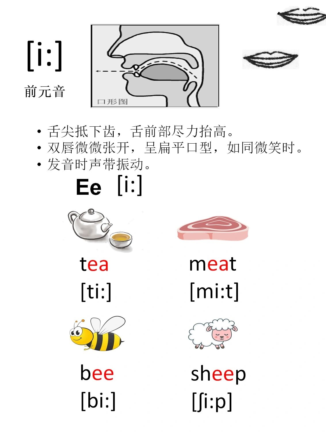 英语国际音标学习卡片1 口形图,发音技巧 帮助正确发音