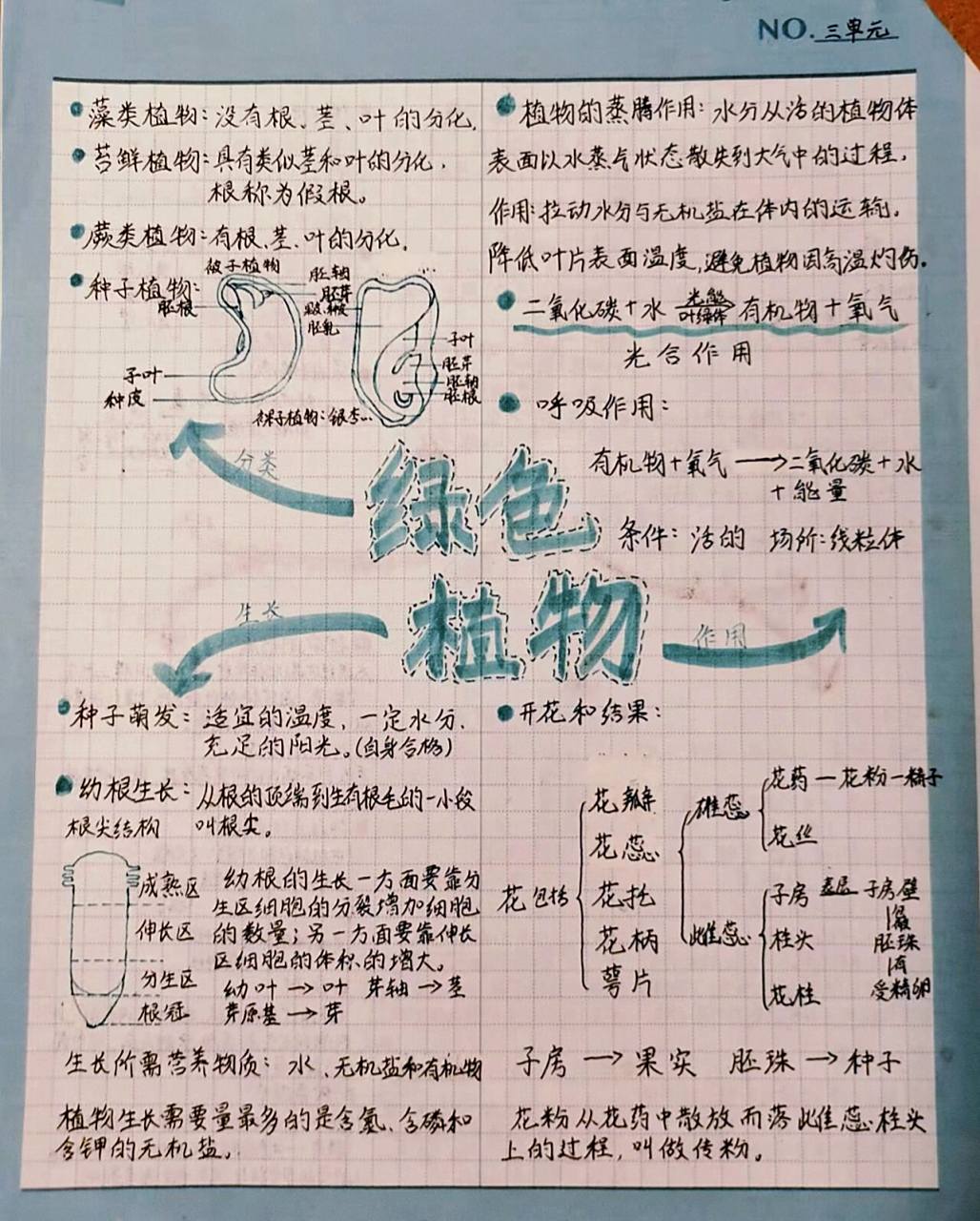 七上生物第三单元思维导图