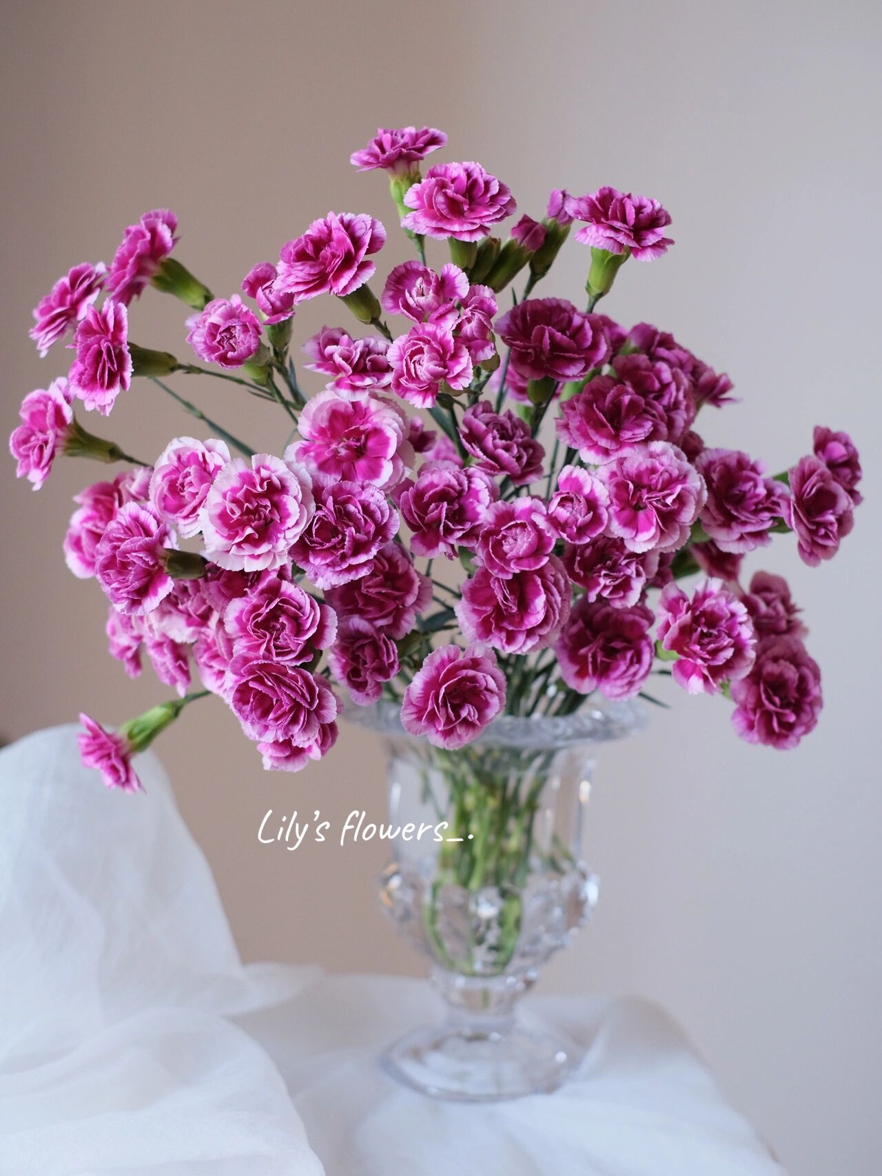 海盛多头康乃馨【时尚太子】 颜值在线呀 可能是被名字耽误了 好像不