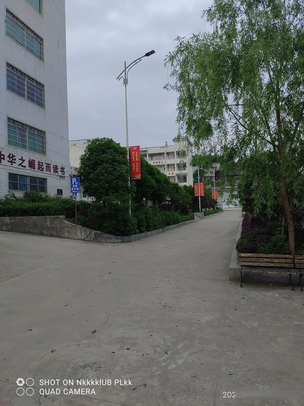 —提升基础教育阶段科学教育水平