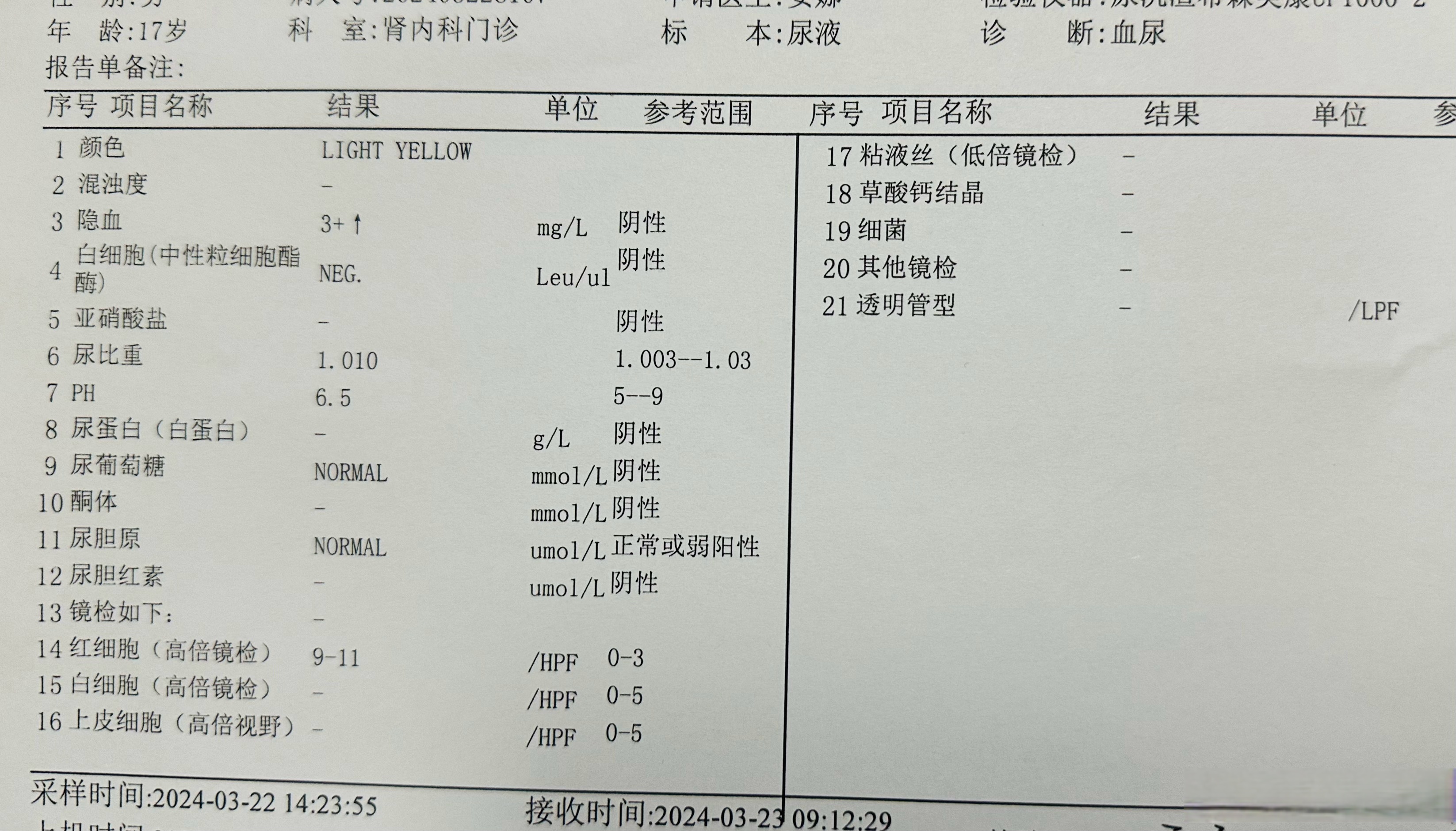 尿沉渣化验单图片