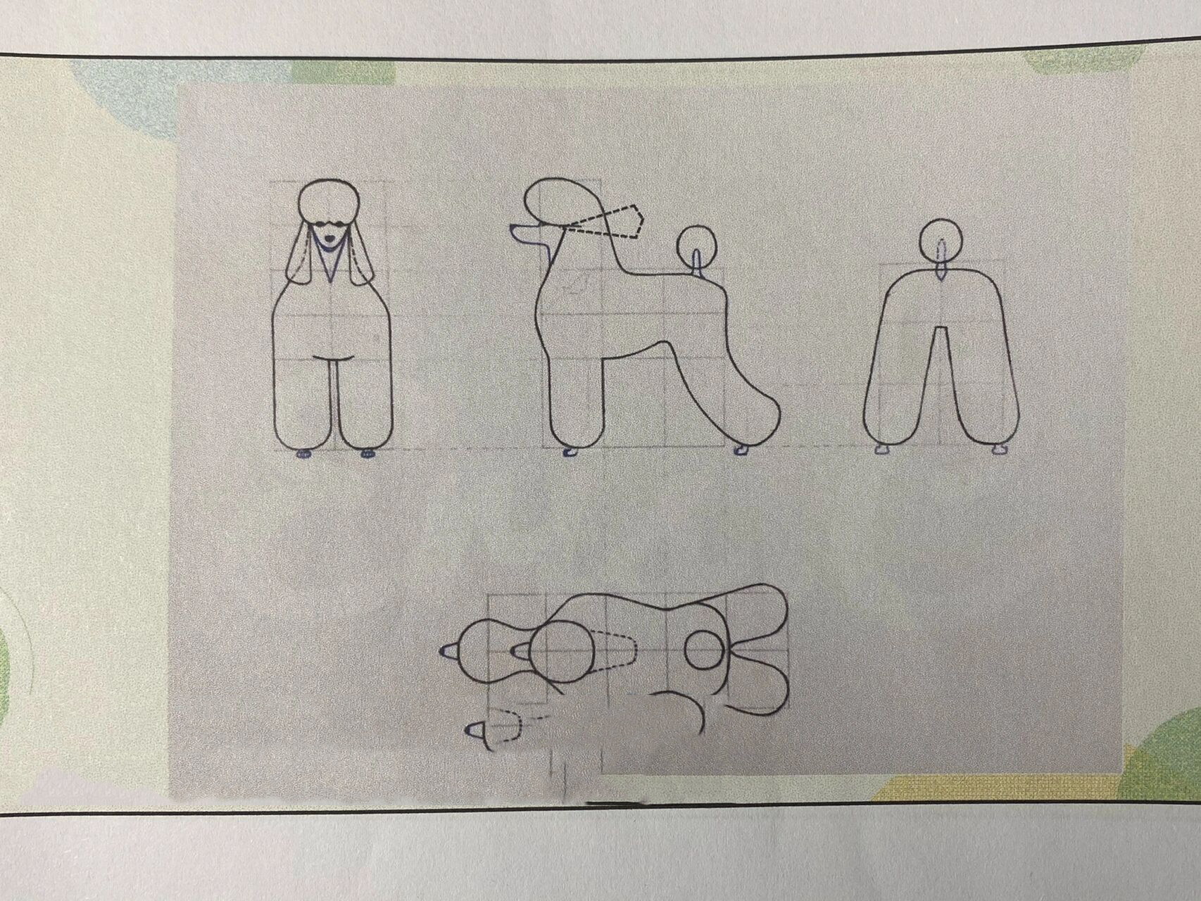 零基础学宠物美容|最值得美容师收藏的图17 贵宾拉姆装基本上是所有