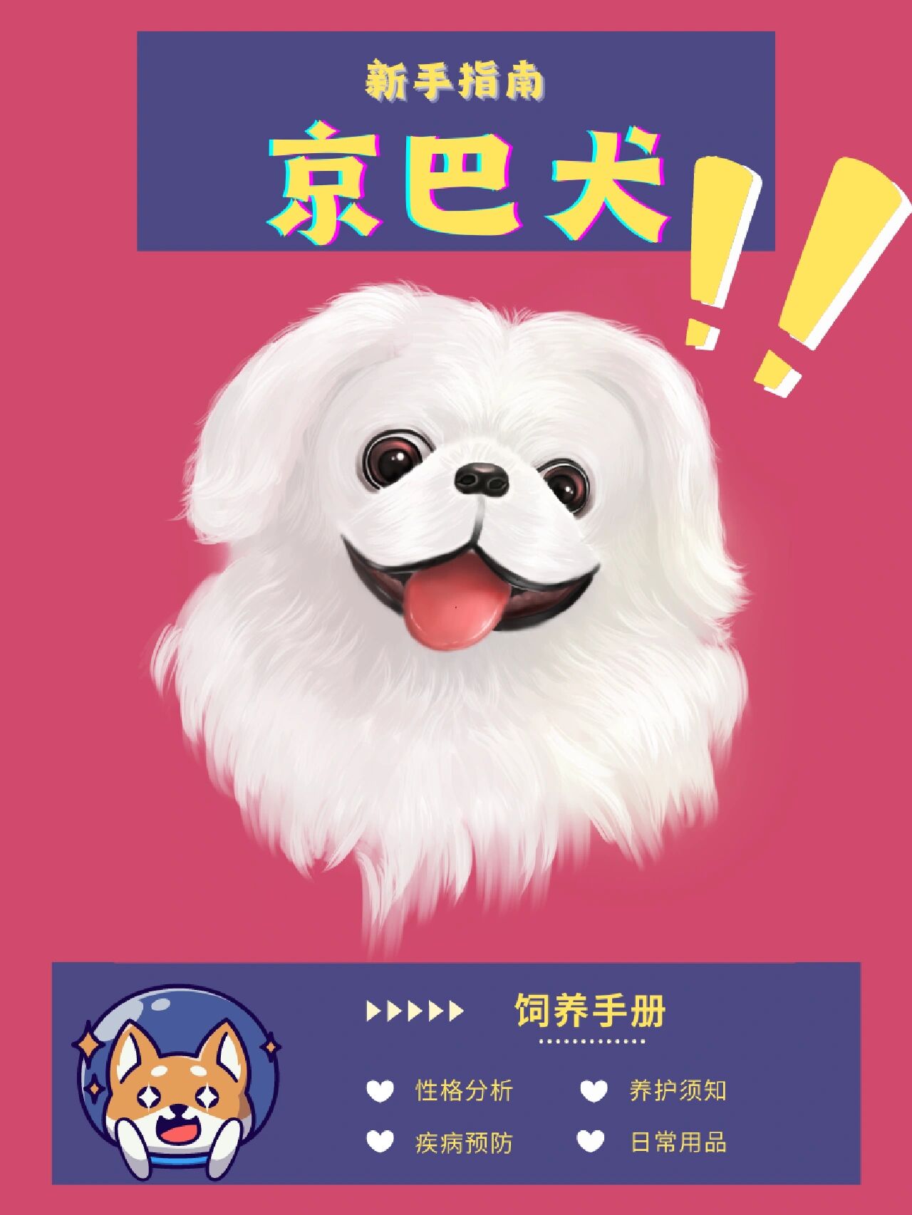 京巴犬?新手必看‼️饲养手册