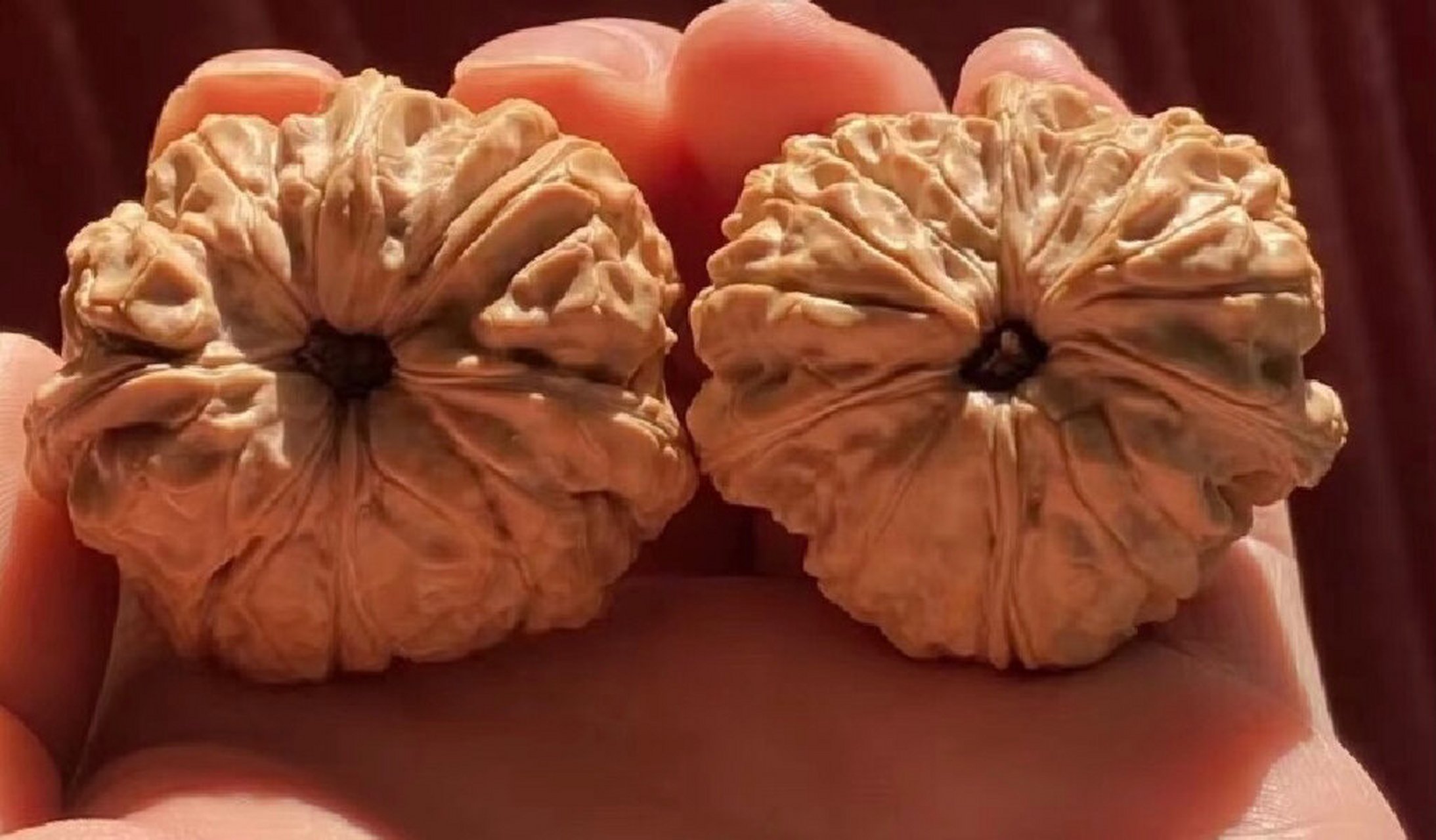 正好找到三棱吞金兽核中巨无霸--闷墩(门墩) 这款核桃火起来和王勇