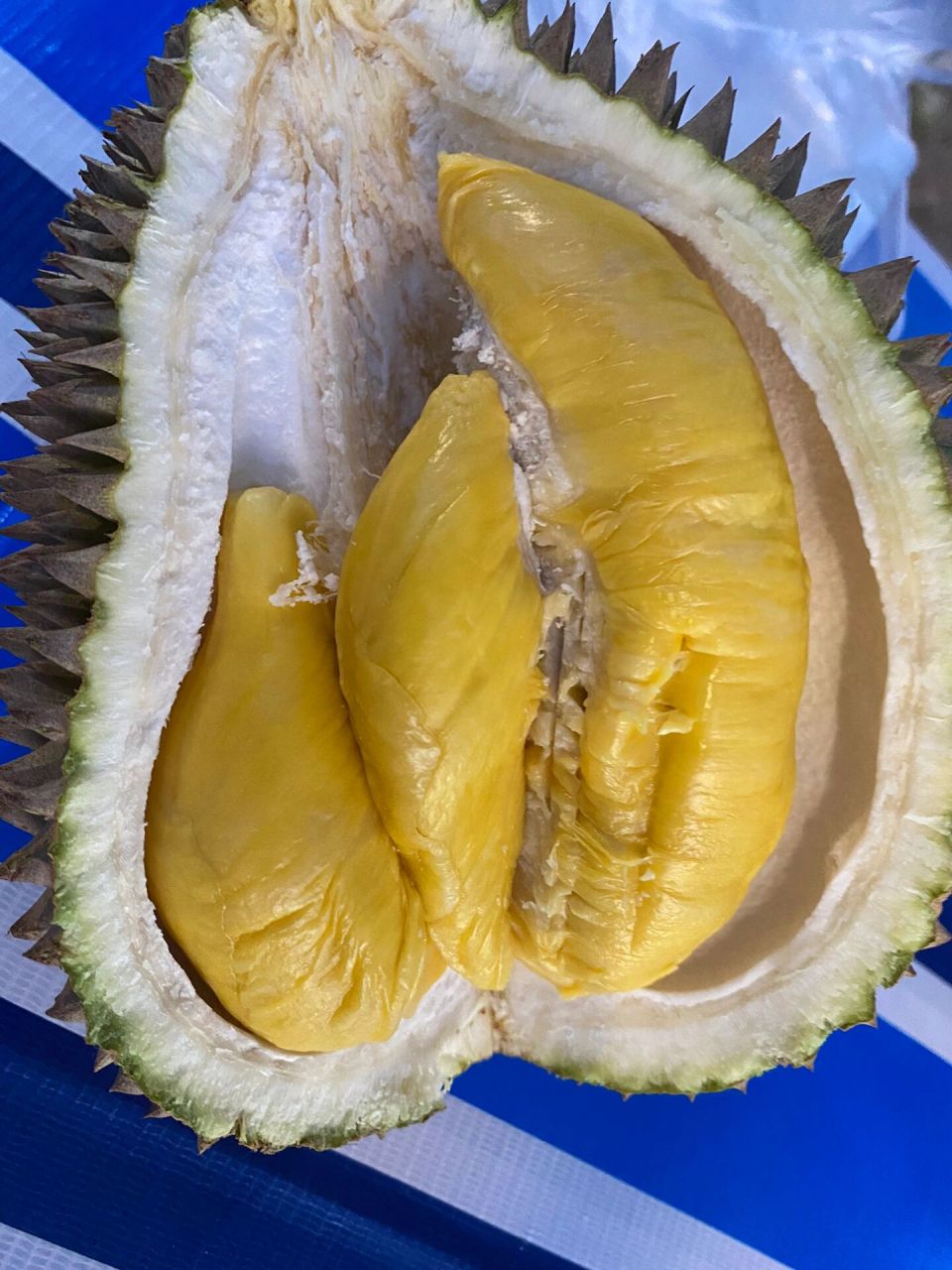 9890槟城新关仔角夜市榴莲 这两天来槟城啦～在乔治市新关仔角