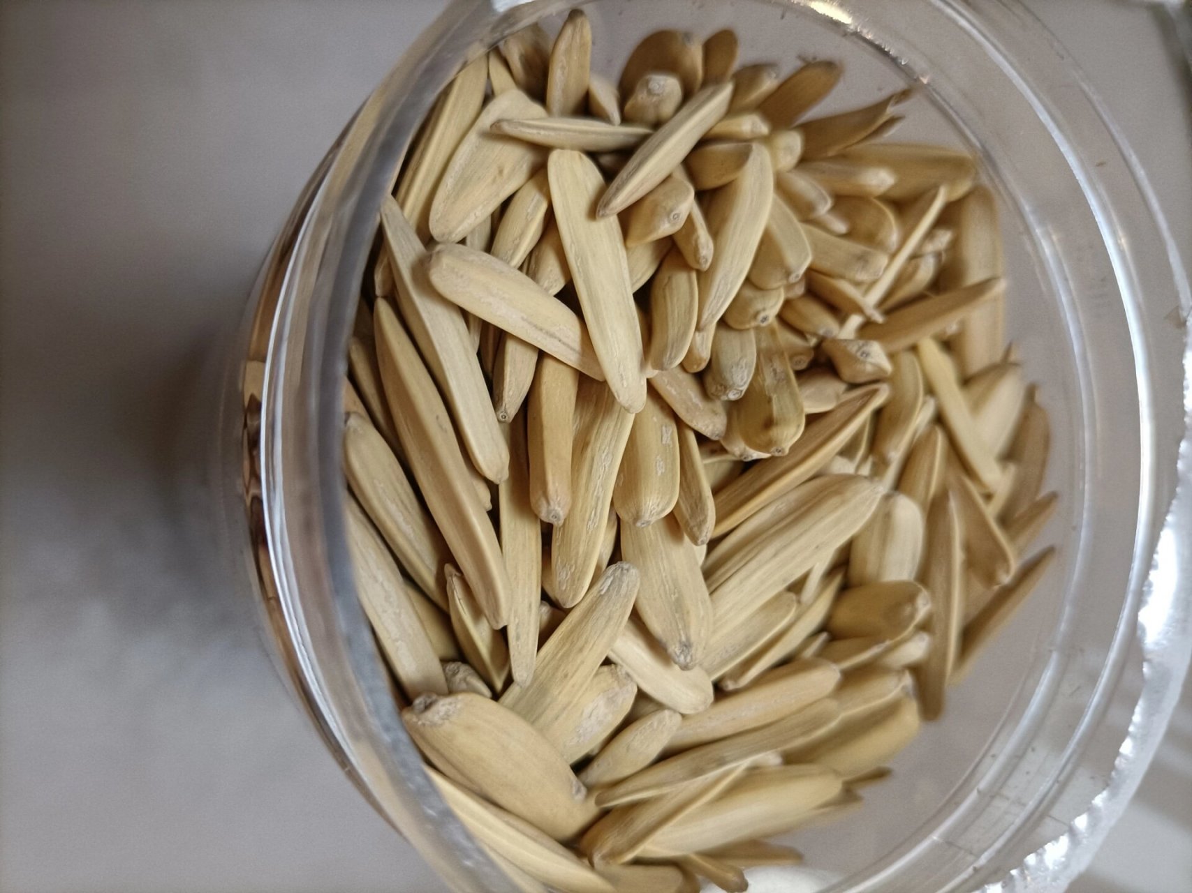 96新疆马牙瓜子狼牙瓜子916015