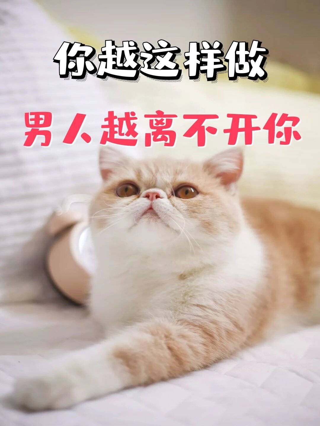 第一,无所畏惧,也就是,不要害怕失去他,当你不害怕失去他的时候,他