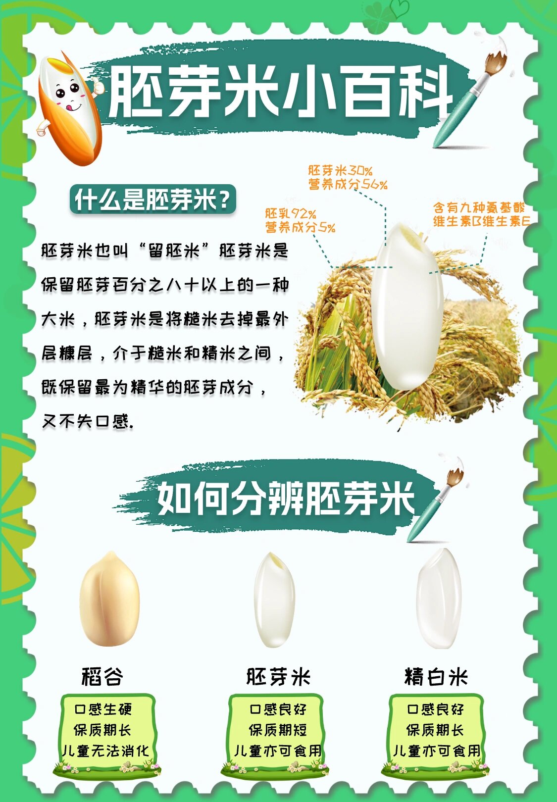 胚芽米也叫"留胚米"胚芽米是保留胚芽百分之八十以上的一种大米,胚芽