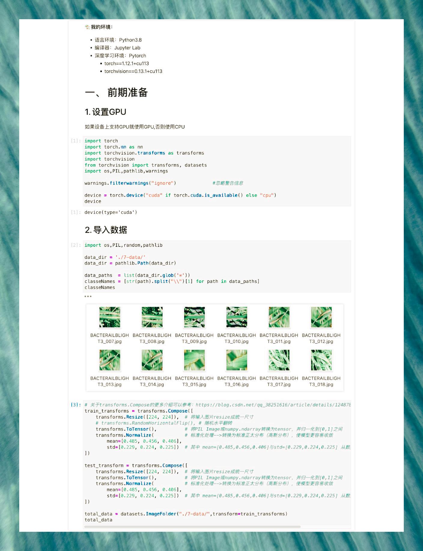 pytorch入门挑战:水稻病害识别 (21100)