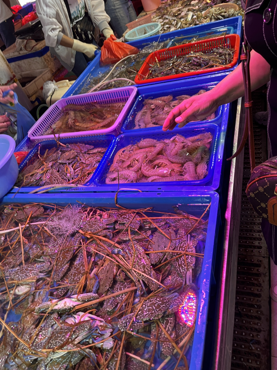 到北海必去的海鲜市场!