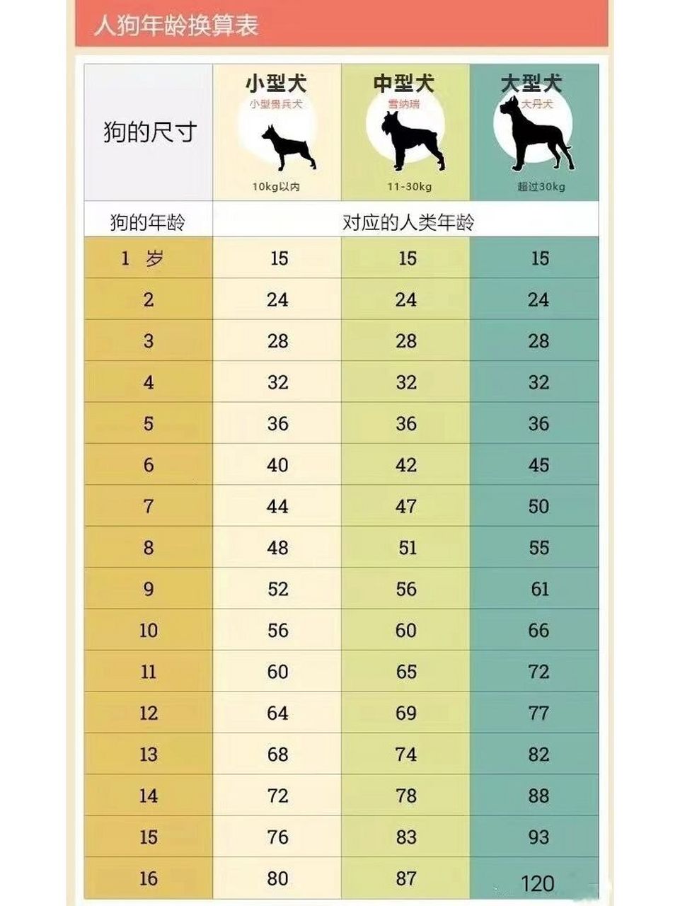 奉上狗狗年龄对照表,请好好珍惜它们 我发现很多人养狗是意识不到自己