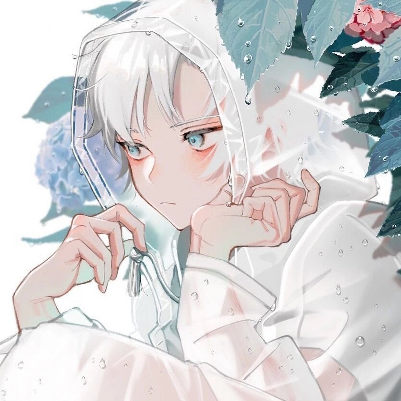 野王动漫系男生头像 小姐姐看了不会拒绝的头像