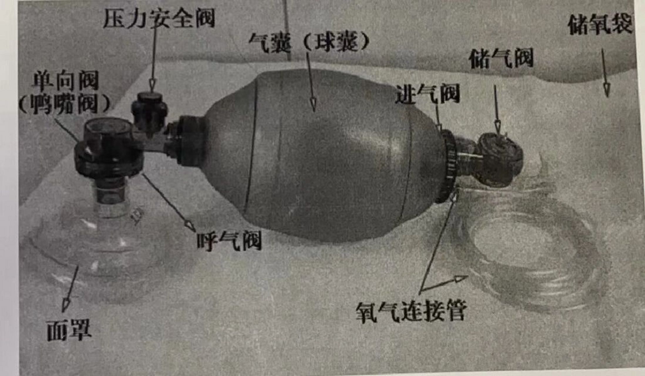 简易呼吸气囊组成部分图片