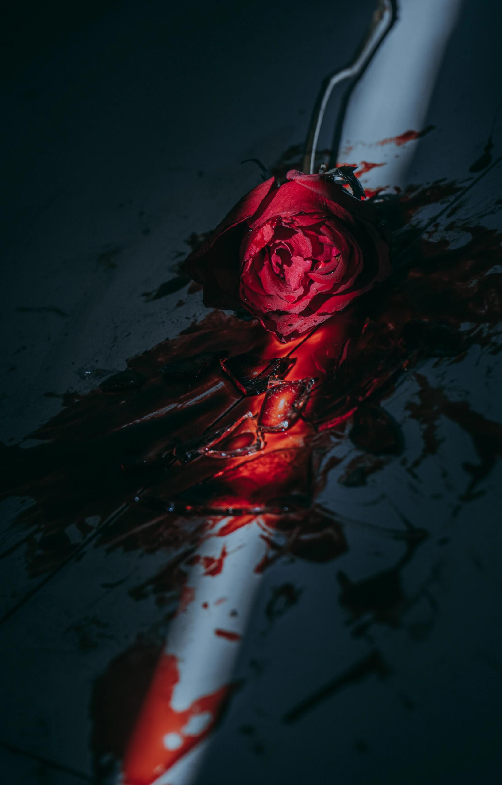 去年冬天,我杀死了一支玫瑰