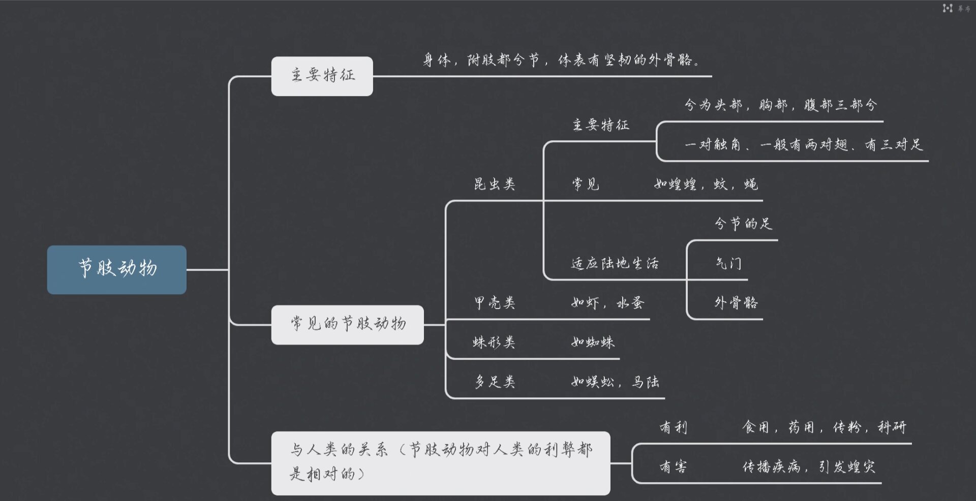 八上生物 第一单元第三节思维导图 无脊椎动物:软体动物和节肢动物