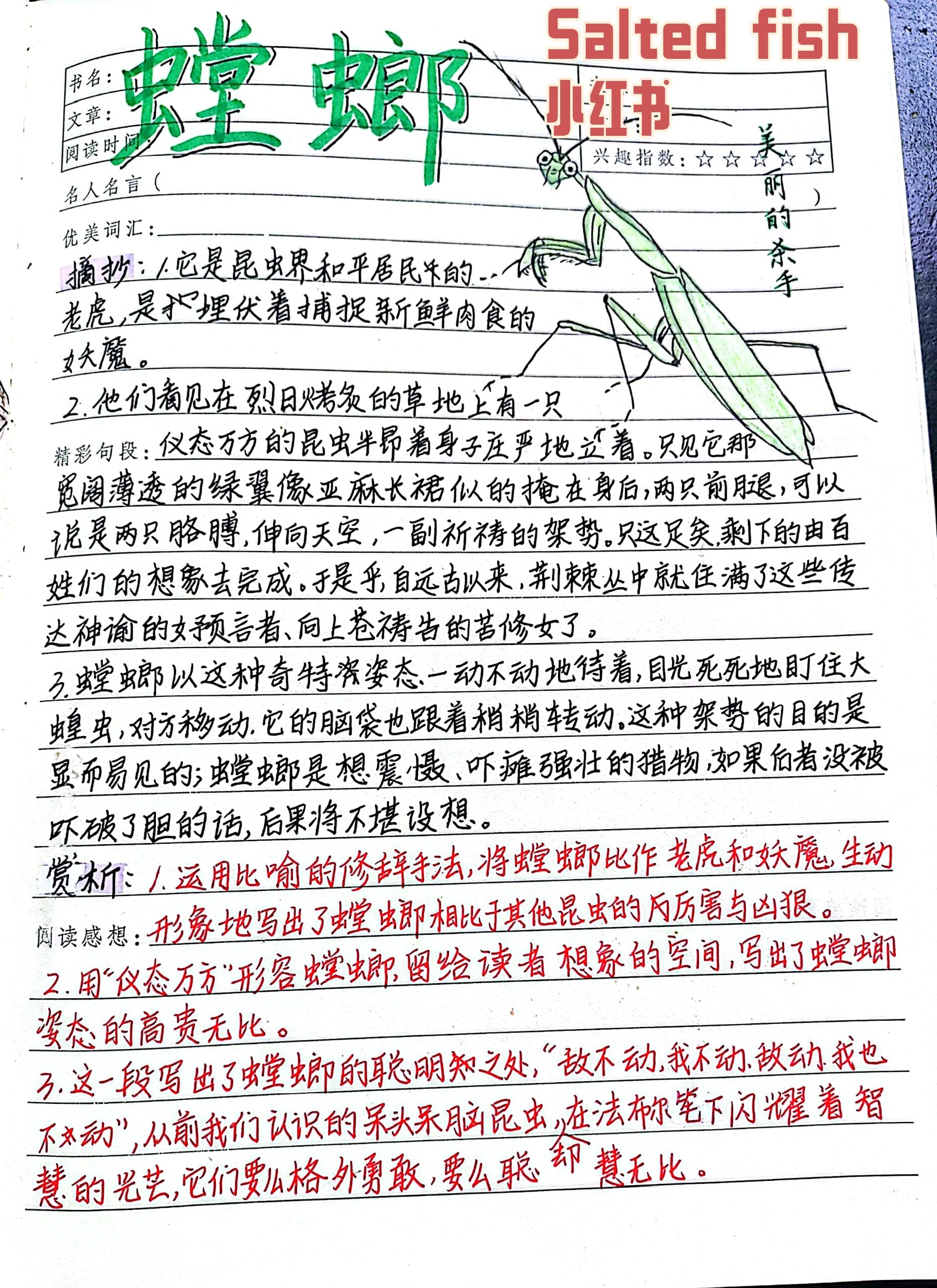 《昆虫记》进阶版 螳螂 小阔条纹蝶