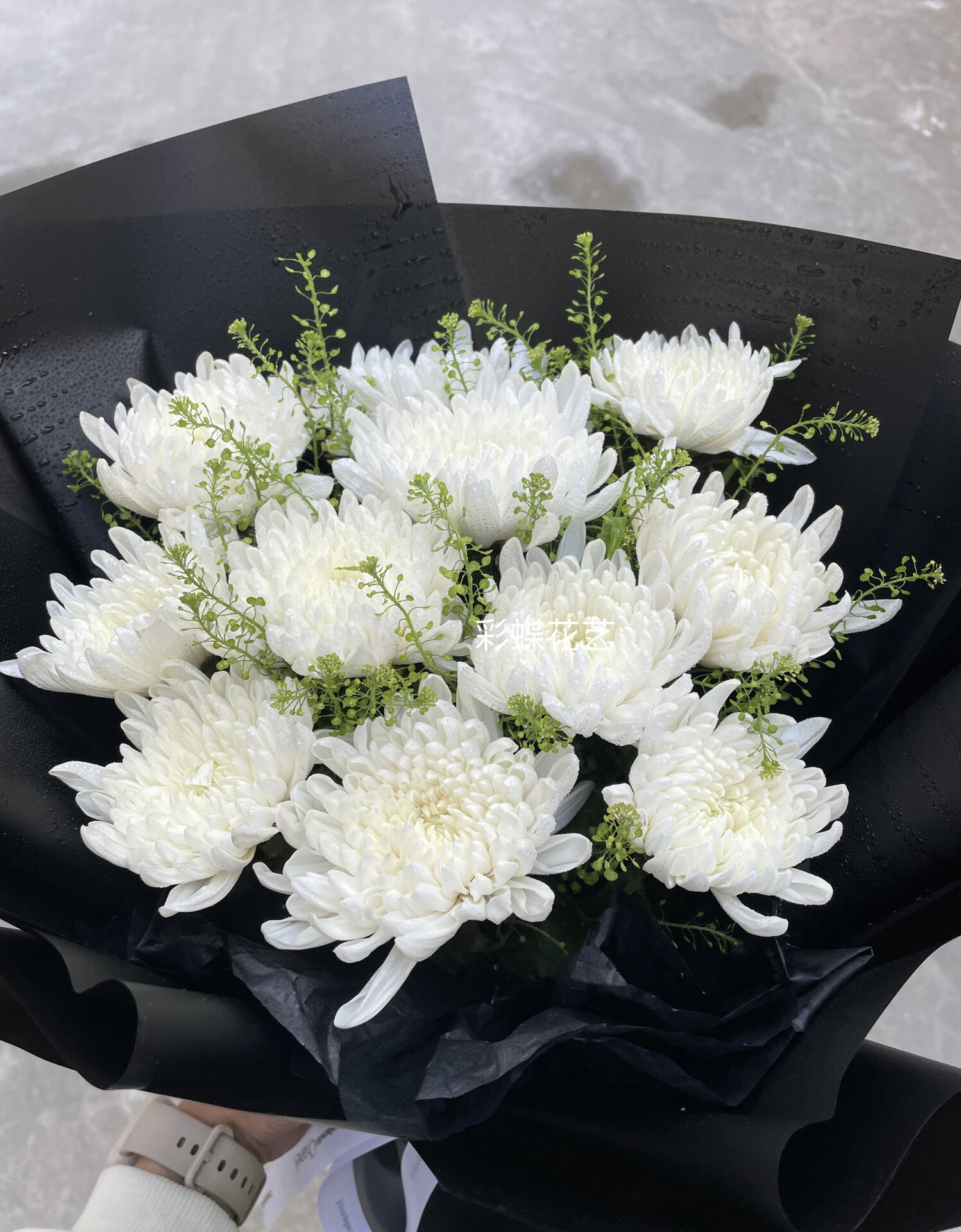 祭祀花束 一束白菊花,表达对他的追忆和追思之情!