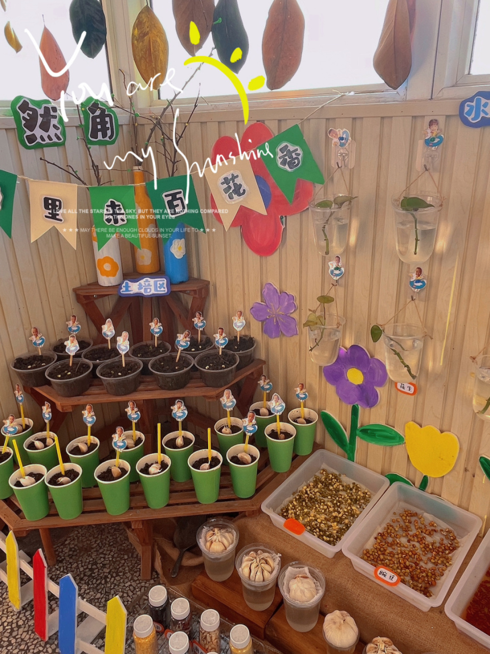 幼儿园植物角 自然角环创 春天的植物角,慢慢完善中…… #幼儿园植物