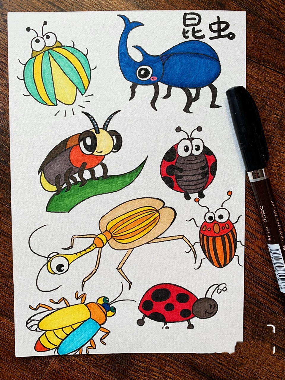 昆虫甲壳虫手绘手帐简笔画临摹练习素材黑白