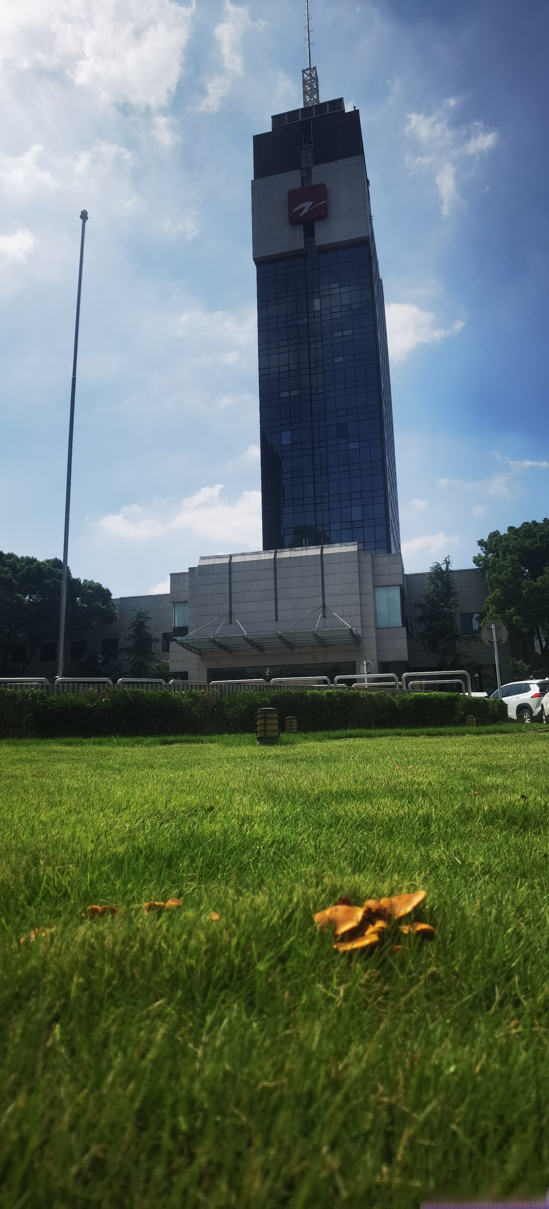 【午后一刻:#雨后蘑菇别乱吃但拍照可以# 】这几