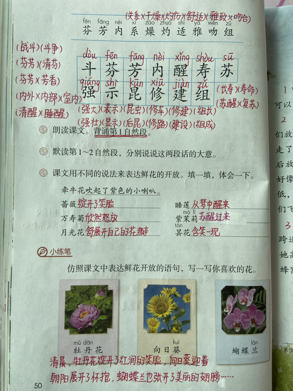 三年级语文下册 第13课 《花钟》