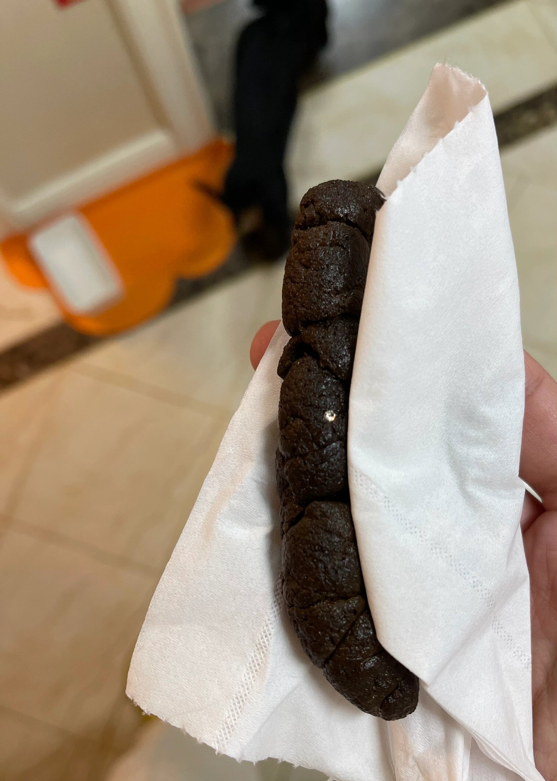 慎点 这是狗粑粑