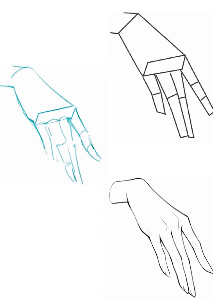 【手部练习】人体手部绘画素材练习
